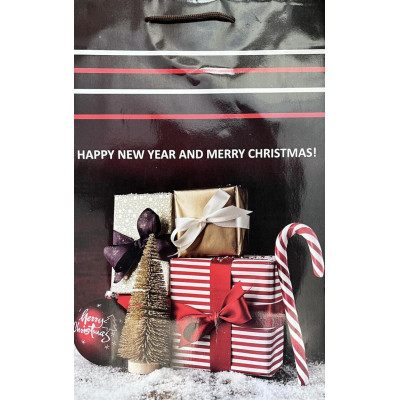 Новогодний пакет большой вертикальный "Happy New Year" 25х37 см