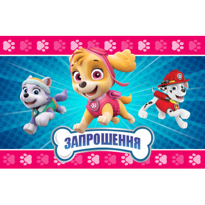 Запрошення на день народження Скай 10 шт