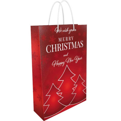 Пакет для подарка большой вертикальный "Merry Christmas" 25х35 см