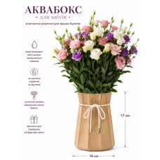 Аквабокс крафт из ламинированного картона 16х17 см