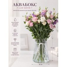 Аквабокс пластиковый прозрачный 16х17 см